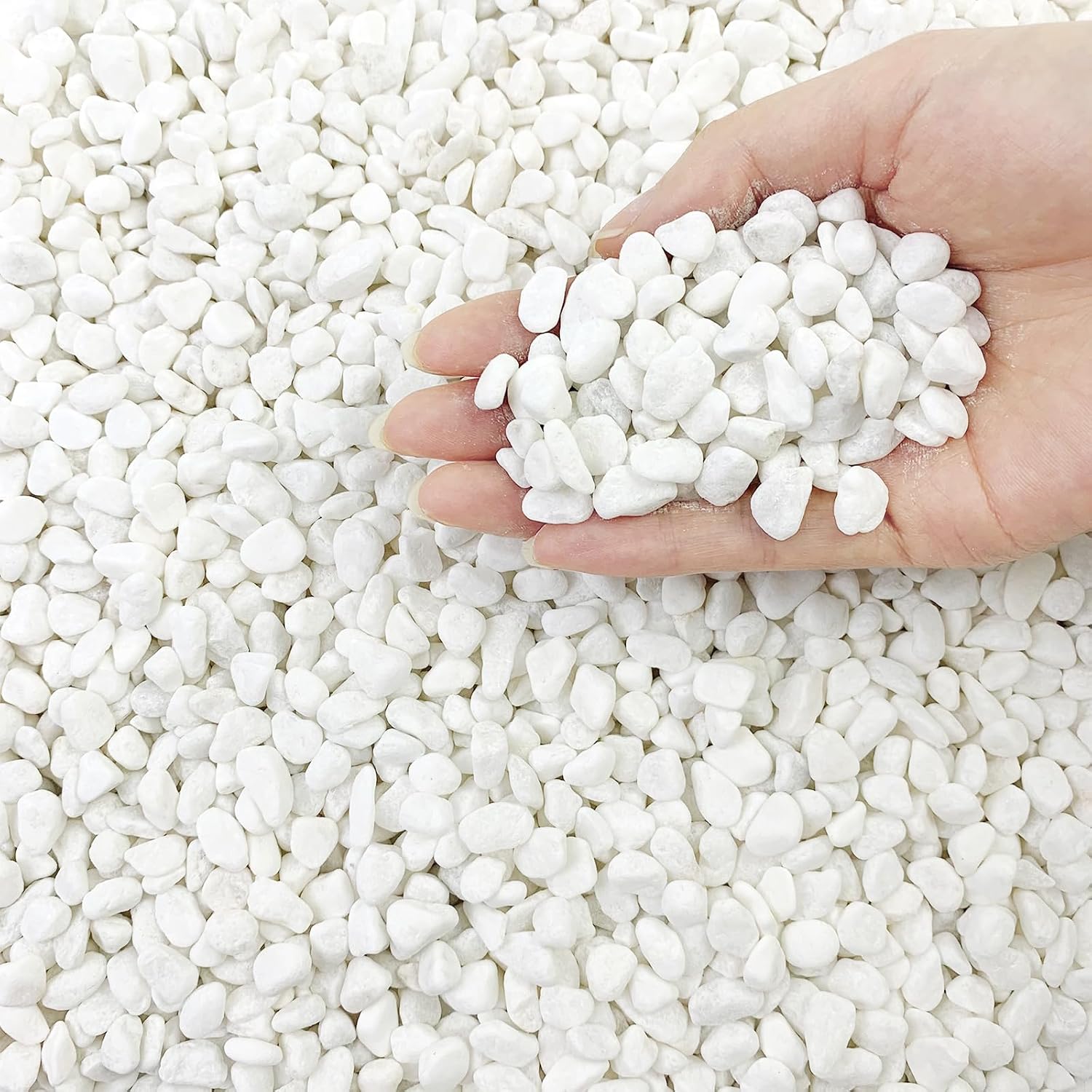FANTIAN 2 lbs White Rocks for Plants, 3/8 Inch Aquarium Gravel, Pea Gravel