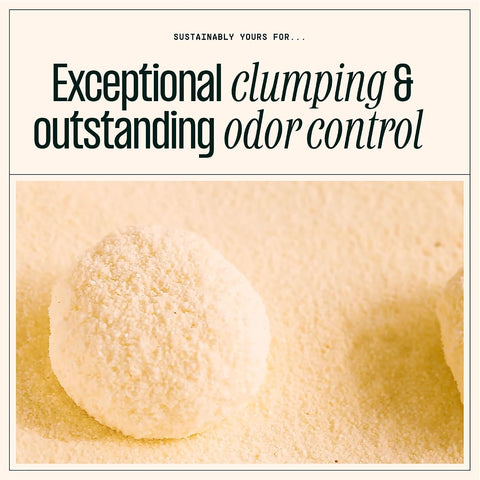 Sustainably Yours Natural Cat Litter, Large-Grain Formula, Low Tracking, Exceptional Clumping & Odor Control, Virtually No Dust, Corn & Cassava Plant-Based, Unscented, 10 lbs