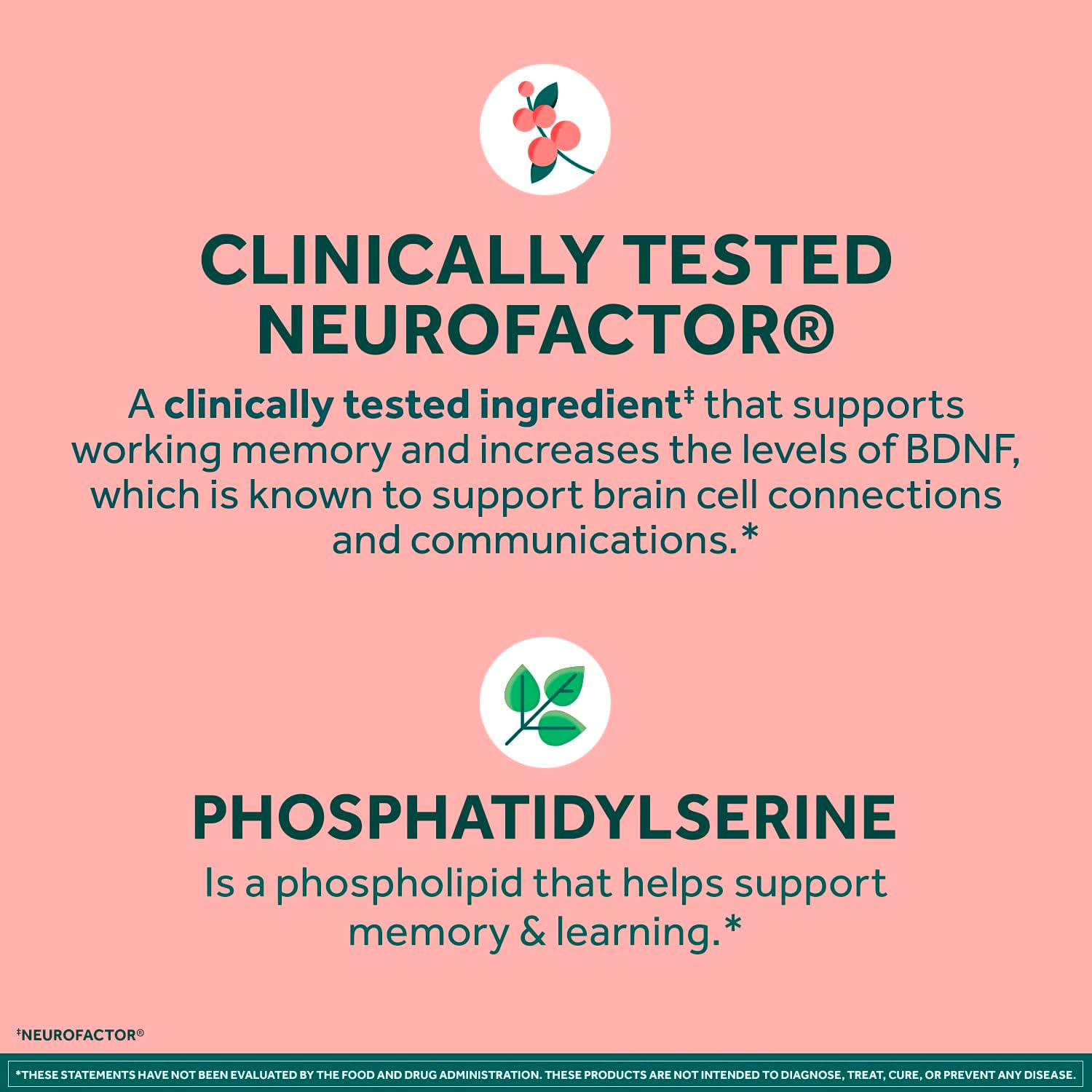 NEURIVA Original Brain Supplement for Memory, Focus & Concentration + Learning & Accuracy with Clinically Tested Nootropics Phosphatidylserine and Neurofactor, Caffeine Free, 30ct Capsules (3 Pack)