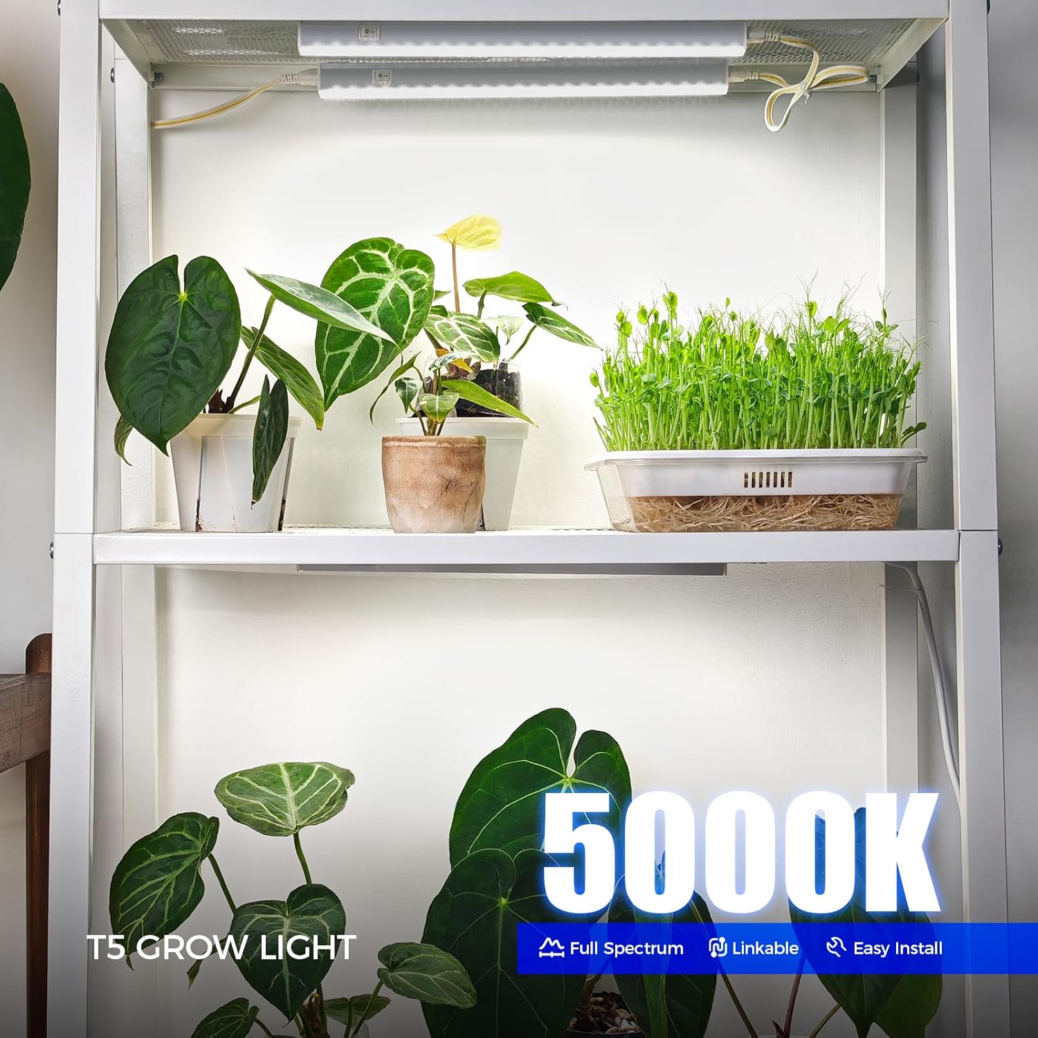 Barrina T5 Grow Lights for Indoor Plants, 1FT Plant Lights, 5000K, 8 Packs