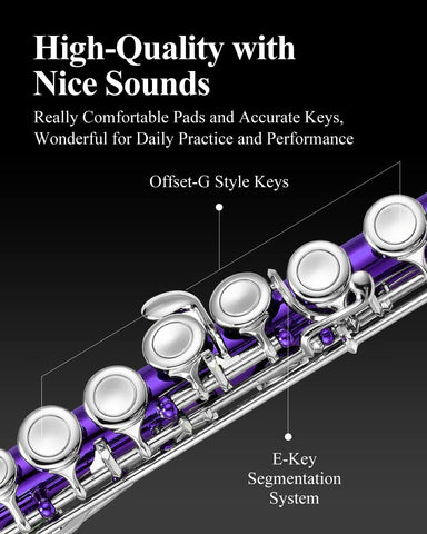 Eastar 16-Key Closed Hole C Flute Kids Beginner, Purple Full Kit, EFL-1Pu