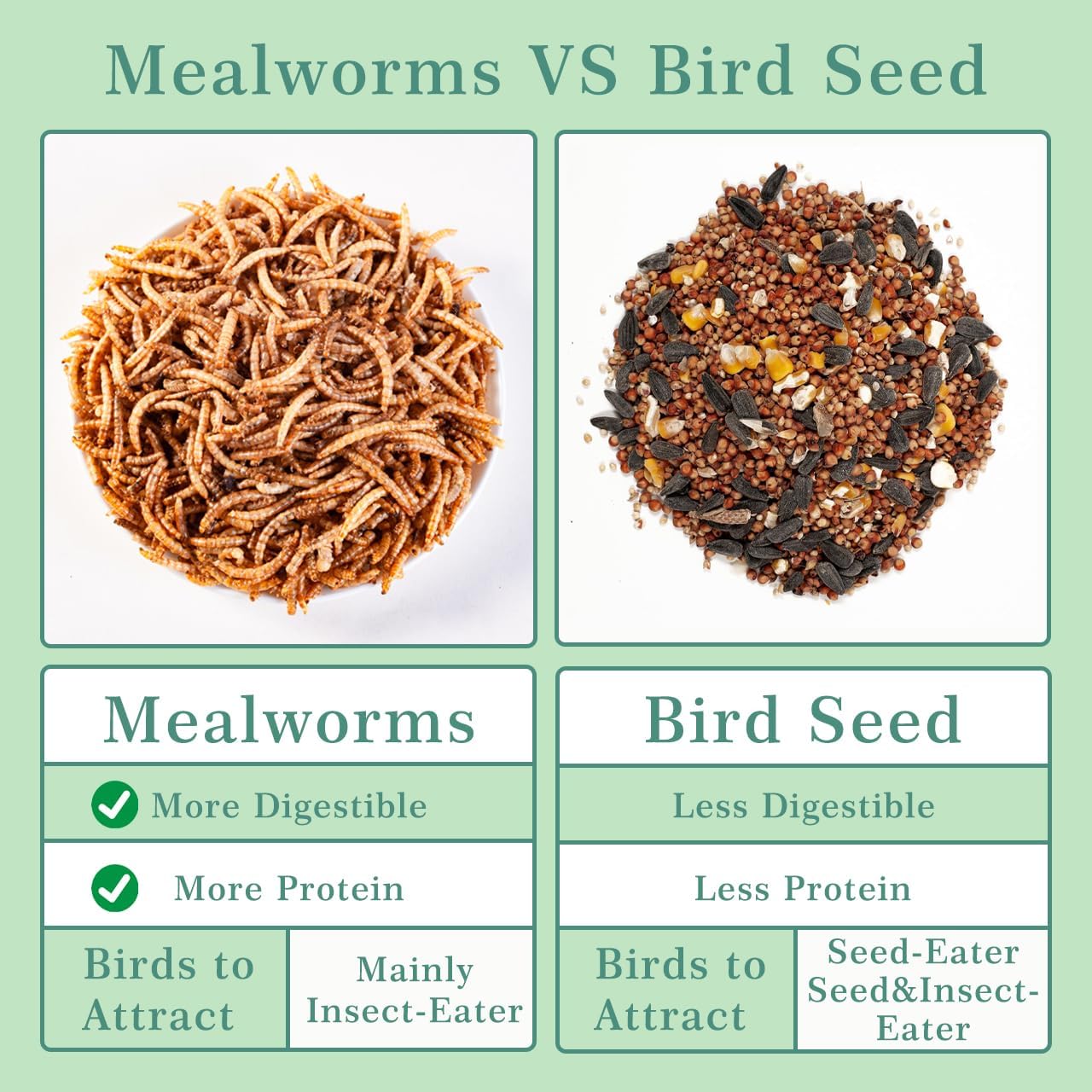 WORMSKING Dried Mealworms for Wild Birds and Chicken, 2LB