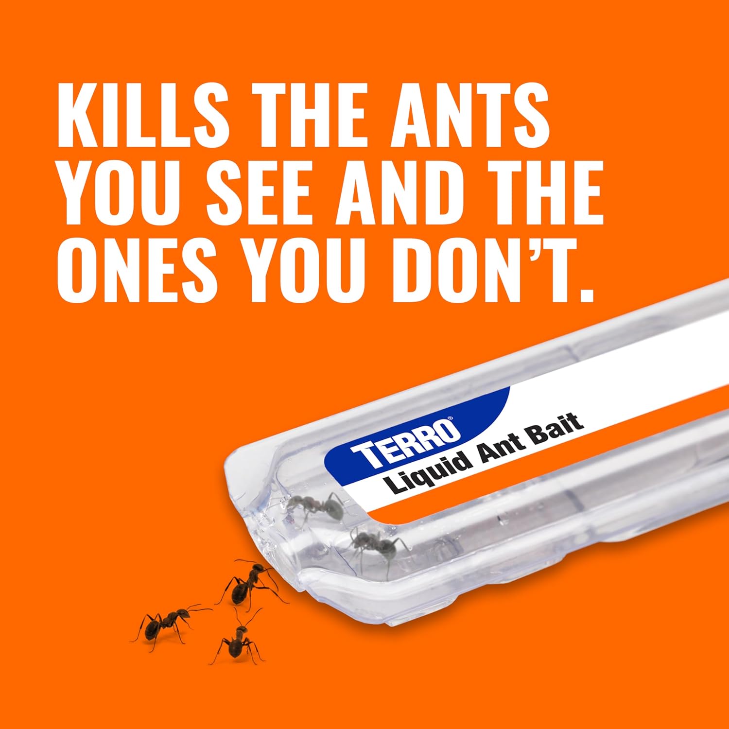 Ant Killer: Terro Liquid Baits (6 in a box) Pack of 2
