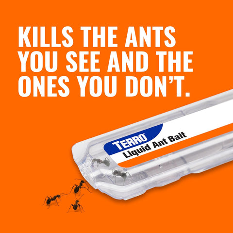 Ant Killer: Terro Liquid Baits (6 in a box) Pack of 2