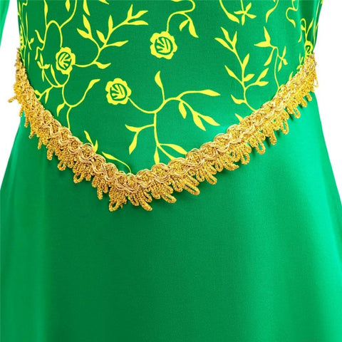 Dressy Daisy Toddler Little Girls Princess Ogre Halloween Costume Birthday Party Dress Up Green Gown