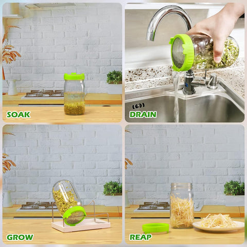Kitmiido Seed Sprouting Kit, 2 Large Wide Mouth Mason Jars with Sprout Lids, Blackout Sleeves, Drain Tray, Stainless Steel Stand, Sprouts Growing Kit for Bean, Broccoli, Alfalfa (Yellow+Green)