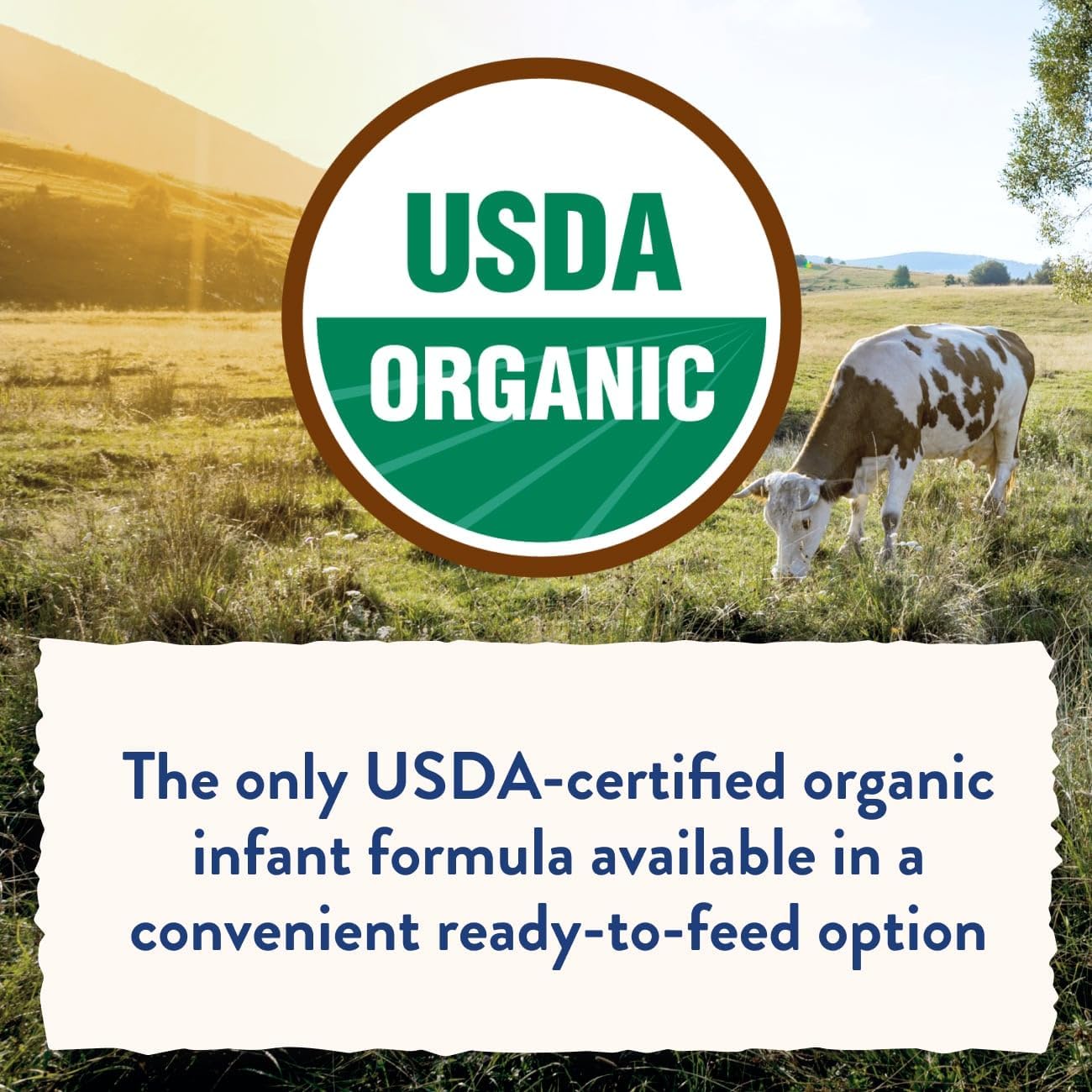 Similac Organic Infant Formula, Easy to Digest, USDA-Certified Organic, Ready to Feed, 32-fl-oz Bottle, Pack of 6