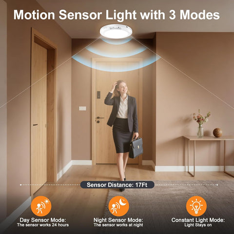 Rechargeable Motion Sensor Ceiling Light Indoor Closet Light with Remote