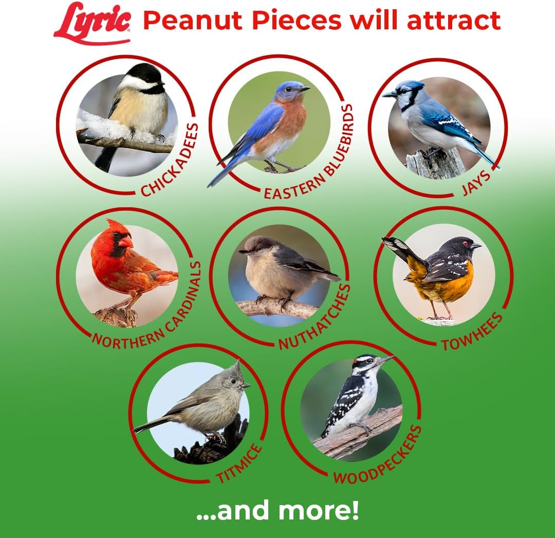 Lyric Peanut Pieces Wild Bird Seed - Shelled, 30 lb (Pack of 2-15 lb Bags)