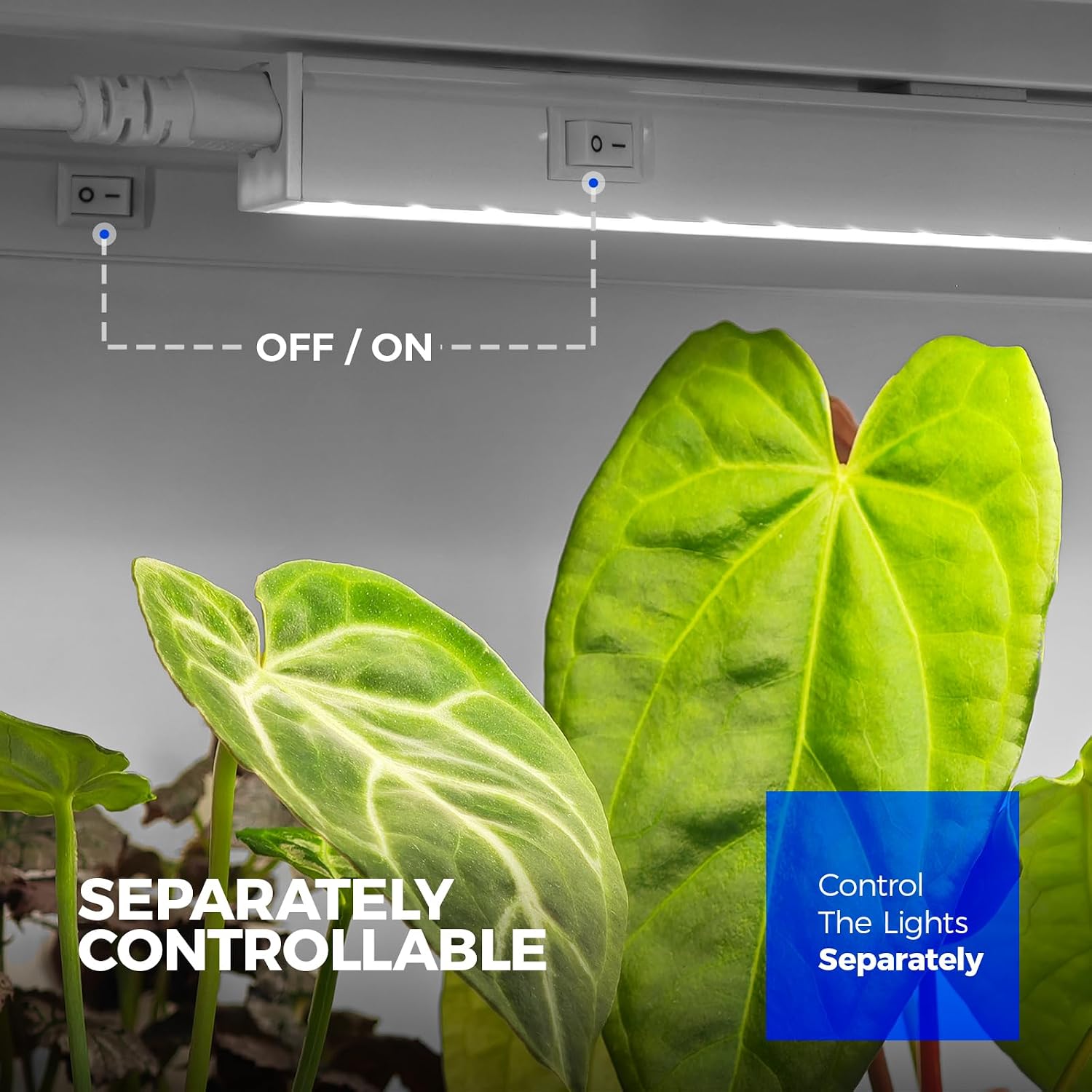 Barrina T5 Grow Lights for Indoor Plants, 1FT Plant Lights, 5000K, 8 Packs
