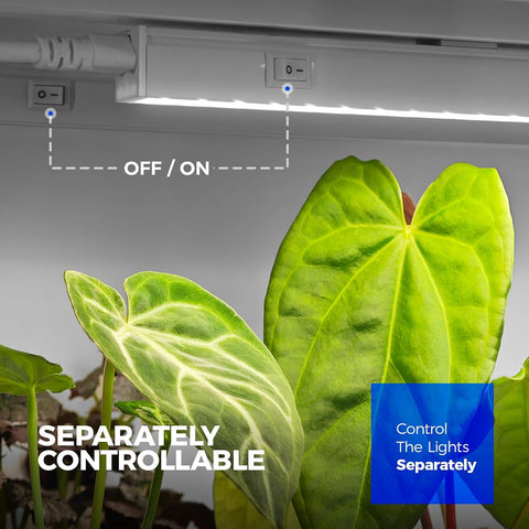 Barrina T5 Grow Lights for Indoor Plants, 1FT Plant Lights, 5000K, 8 Packs