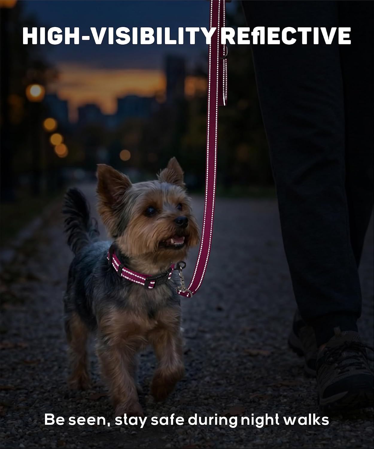 TagME Small Dog Collar, Reflective Puppy Collar, Hot Pink, 3/8" Width