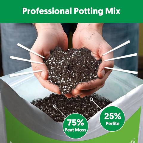 Succulent Cactus Potting Soil Mix (8 qt), All-Purpose Garden Potting Mix for Indoor Outdoor Plants, Quick Drain Houseplant Orchid Bonsai Perlite Soil, Ready-to-Use, Resealable Bag Design