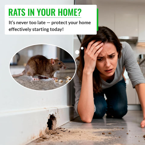 Rat Bait Stations 2 Pack, Lockable Rodent Traps, Indoor & Outdoor