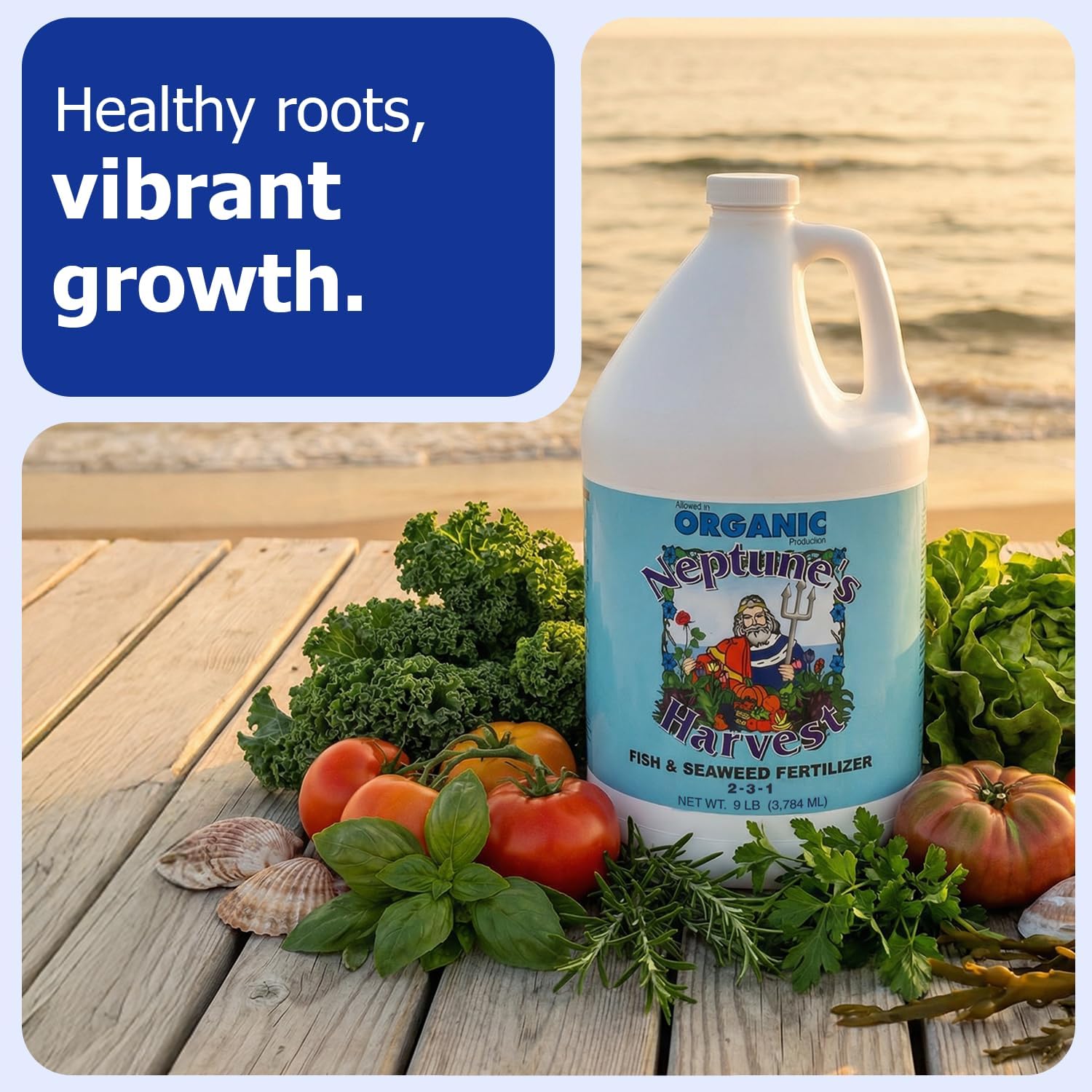 Neptune's Harvest Fish & Seaweed Liquid Fertilizer (2-3-1) - 1 Gallon Bottle - Plant Food for Garden - Indoor & Outdoor Organic Plant Fertilizer for Vegetables, Flowers, Fruit, and Lawns