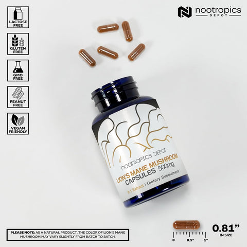 Nootropics Depot Lions Mane Mushroom Capsules | 8:1 Whole Fruiting Body Dual Extract | 500mg | 180 Count | Hericium erinaceus