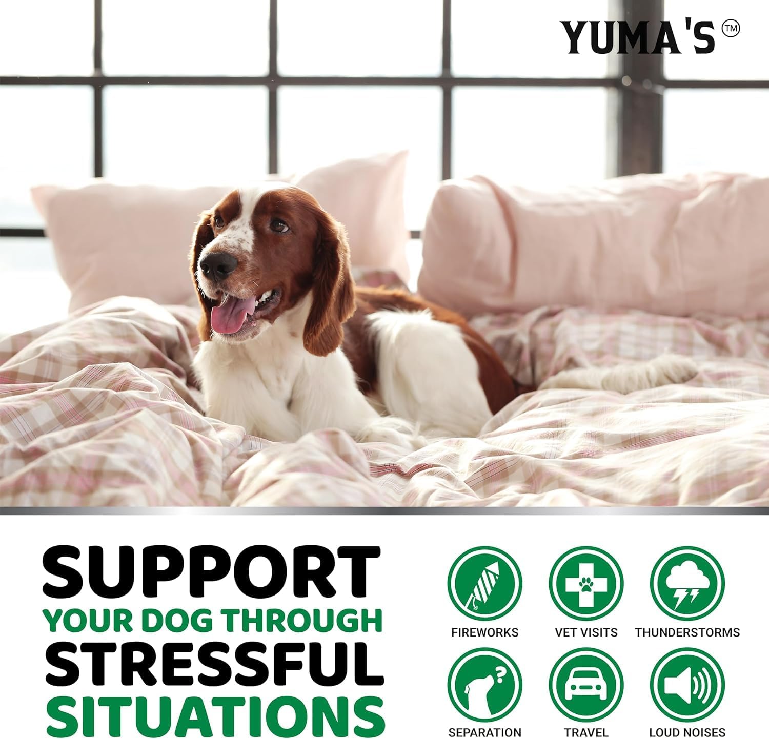 Advanced Calming Chews for Dogs - Hemp Dog Calming Chews Anxiety Relief