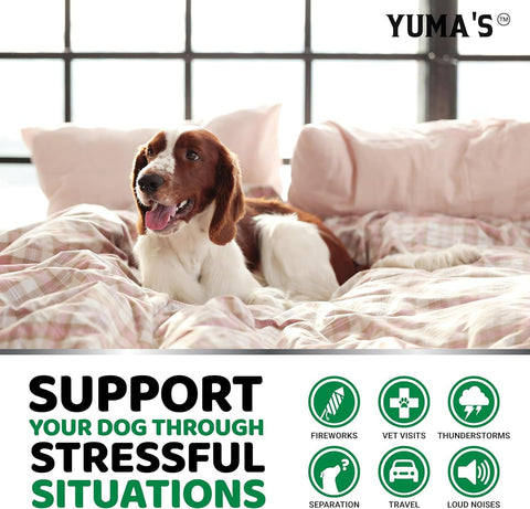 Advanced Calming Chews for Dogs - Hemp Dog Calming Chews Anxiety Relief