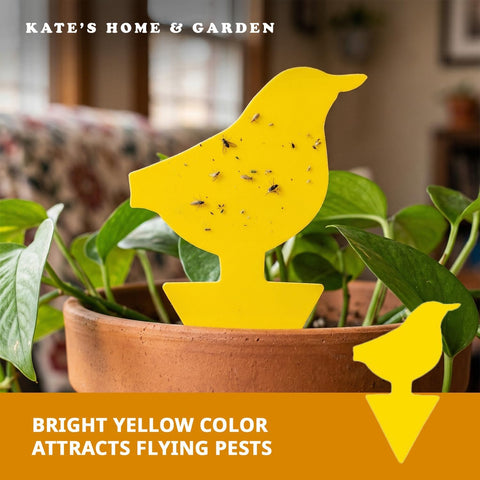 Kate's Home & Garden 60 Count Fruit Fly Traps for Indoors and House