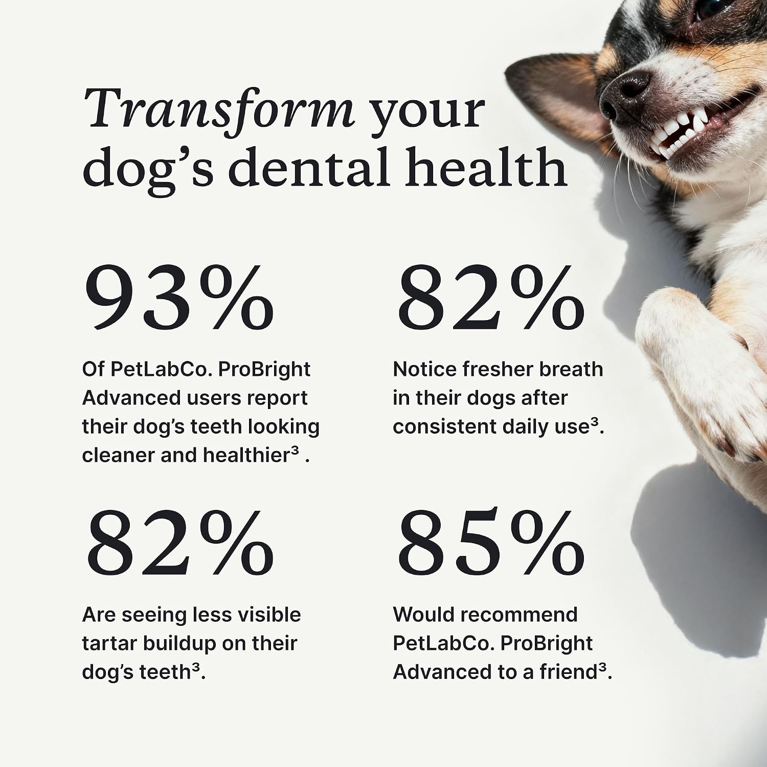 PetLab Co. ProBright Advanced Dental Powder, Small Dogs, 30 Scoops