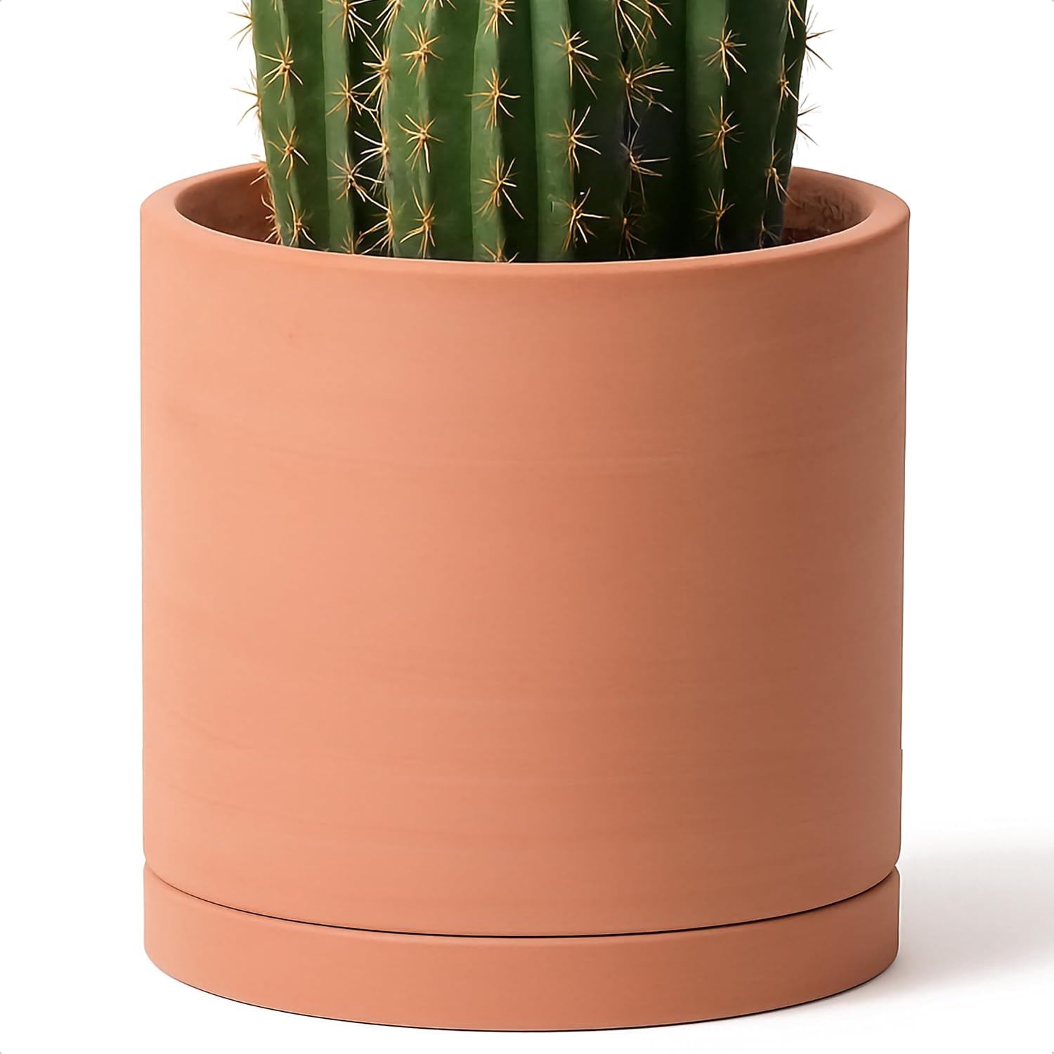 D'vine Dev Terracotta Plant Pot with Saucer, 12 Inch, 40-X-A-6