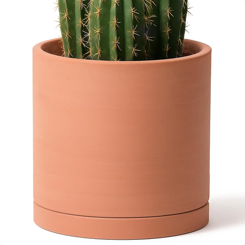 D'vine Dev Terracotta Plant Pot with Saucer, 12 Inch, 40-X-A-6