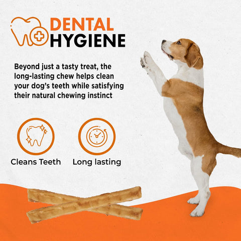 Canine Naturals Rawhide Free Chicken Recipe Dog Chews, Sticks, 40 Count