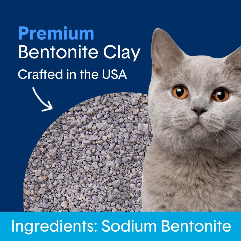Boxie Premium Unscented Clumping Cat Litter 30+ Day Odor Control 16 lb