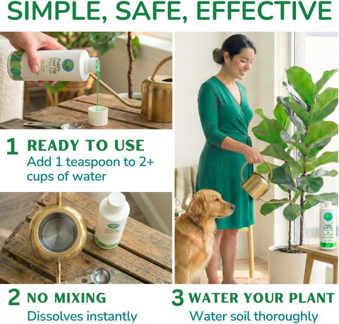Fiddle Leaf Fig Plant Food, 3-1-2 NPK Liquid Fertilizer for Ficus, 8 oz