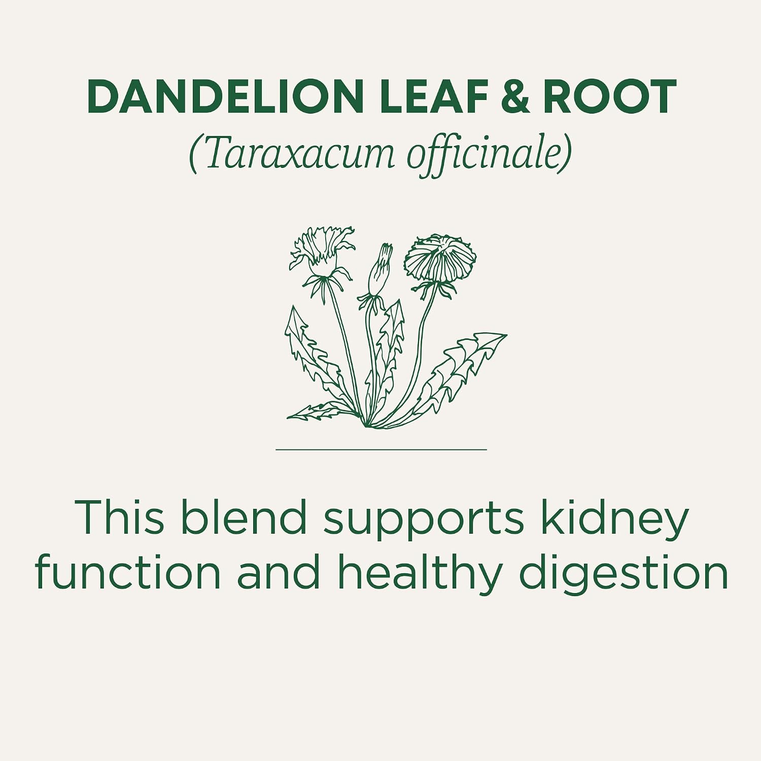 Traditional Medicinals Organic, Dandelion Leaf & Root - Dandelion Root Tea, Supports Normal Detox + Digestion - Kosher, Non-GMO, Caffeine-Free, Compostable - 96 Tea Bags (6 Packs of 16)