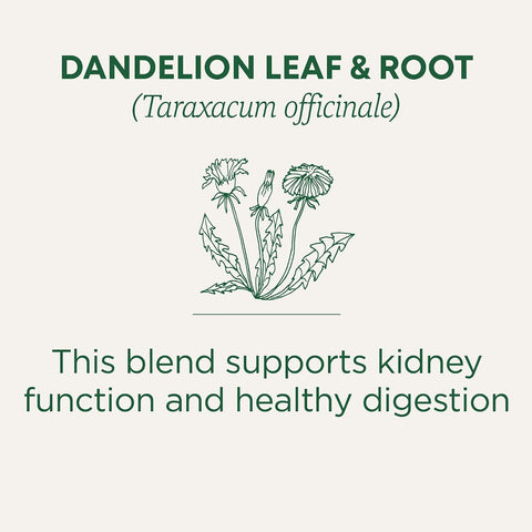 Traditional Medicinals Organic, Dandelion Leaf & Root - Dandelion Root Tea, Supports Normal Detox + Digestion - Kosher, Non-GMO, Caffeine-Free, Compostable - 96 Tea Bags (6 Packs of 16)