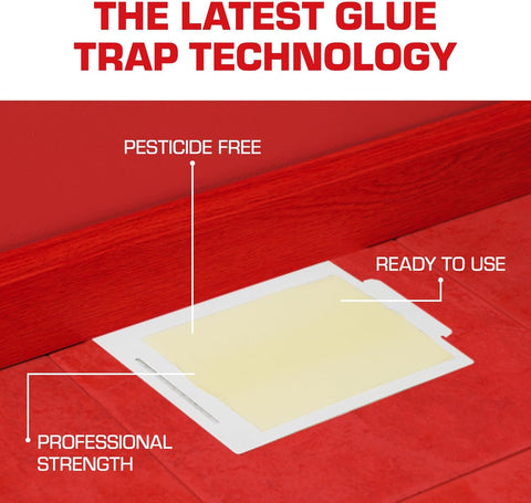Tomcat Glue Boards with Eugenol for Enhanced Stickiness, 4 Sticky Traps
