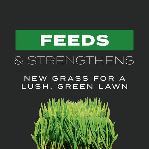 Scotts Turf Builder Triple Action Built for Seeding, 4.3 lbs.