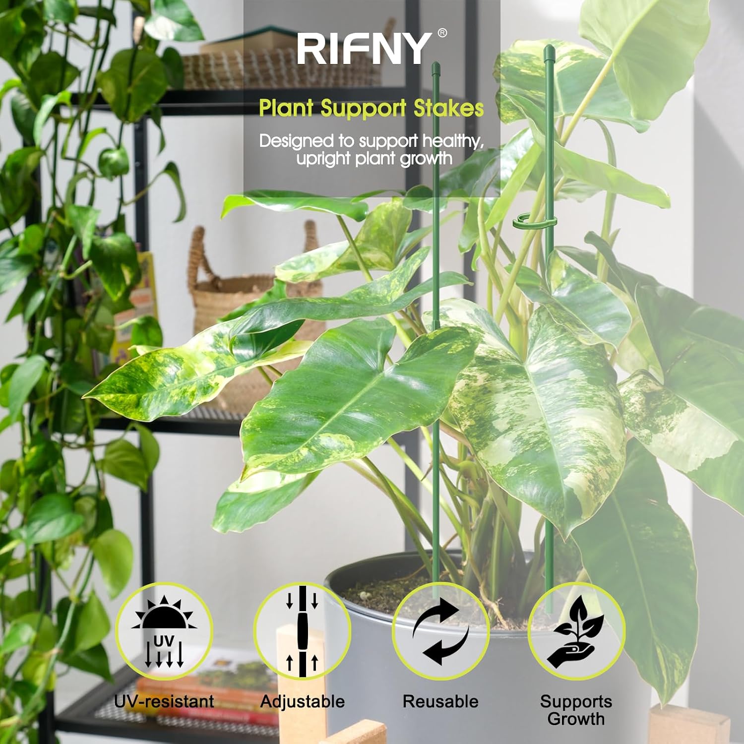 RIFNY Plant Stakes for Indoor Plants, 14 Inch Plant Support Stakes, 16 PCS