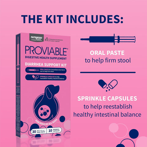 Nutramax Proviable Probiotics + Prebiotics for Dogs, Diarrhea Support Kit