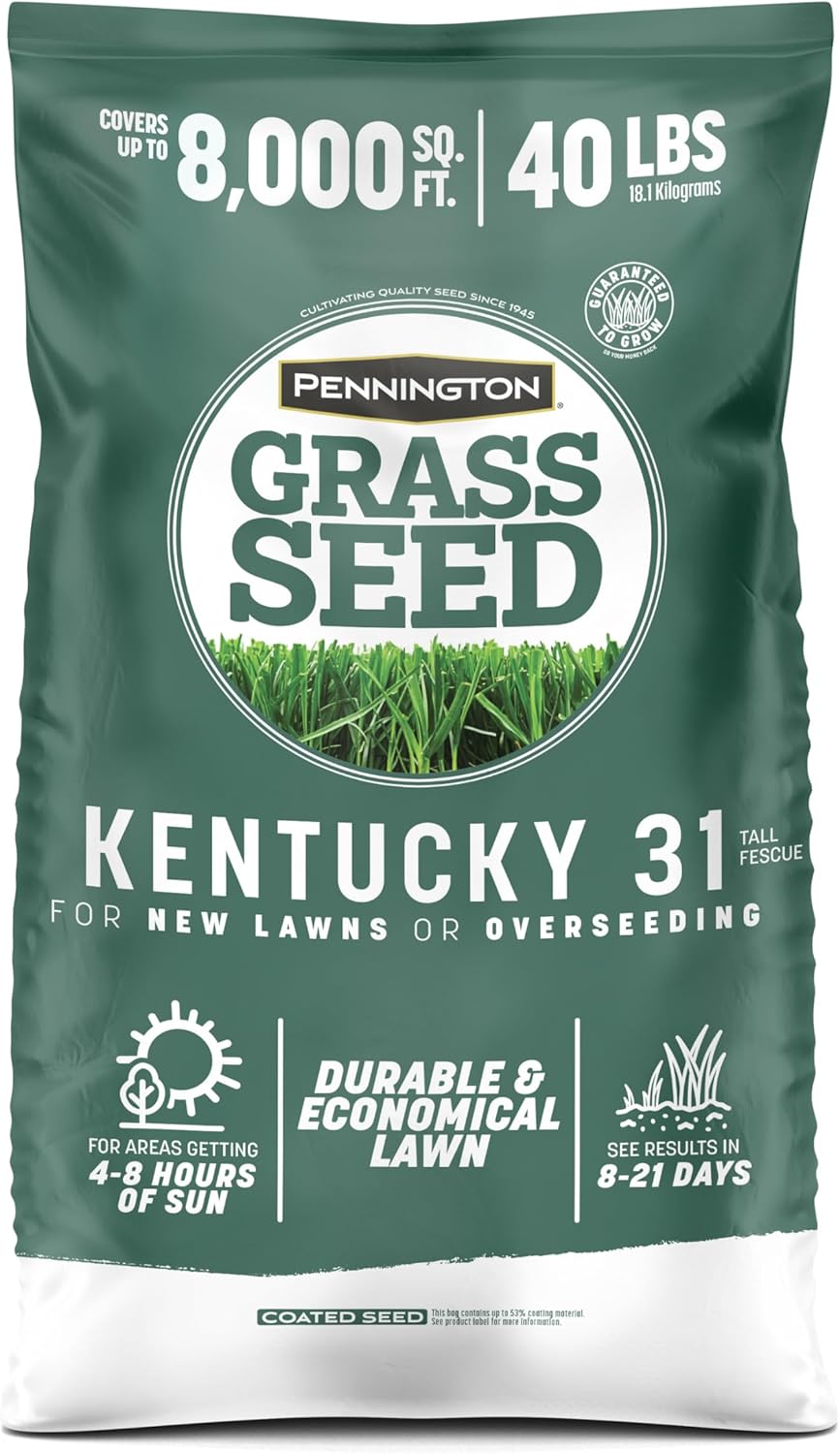 Pennington Kentucky 31 Fescue 40 LB Tall Fescue Grass Seed, Grass Seeds for Lawn