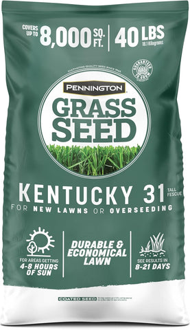 Pennington Kentucky 31 Fescue 40 LB Tall Fescue Grass Seed, Grass Seeds for Lawn