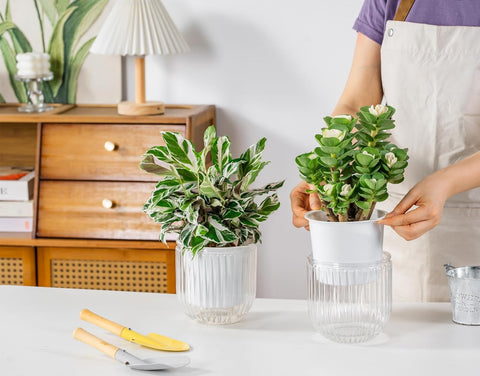Melphoe 2 Pack Self Watering Hanging Planters Indoor Flower Pots, 5.3 Inch Outdoor Hanging Basket, Plant Hanger with 3Hooks Drainage Holes for Garden Home (White)
