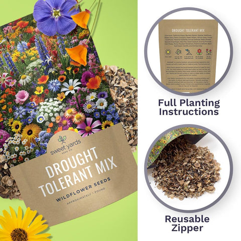 Drought Tolerant Wildflowers Mix – Bulk 5 Pounds – Over 600,000 Open Pollinated Non-GMO Seeds – 21 Different Dryland Species