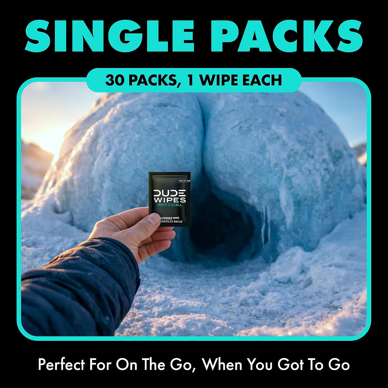 DUDE Wipes On-The-Go Mint Chill Adult Flushable Travel Wipes, 30 Count