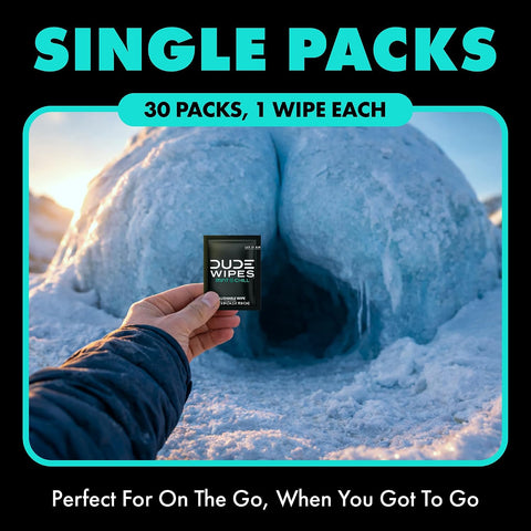 DUDE Wipes On-The-Go Mint Chill Adult Flushable Travel Wipes, 30 Count