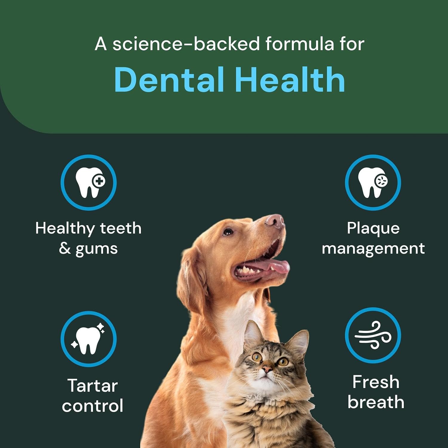 VetriScience Dental Care Powder, 16 oz