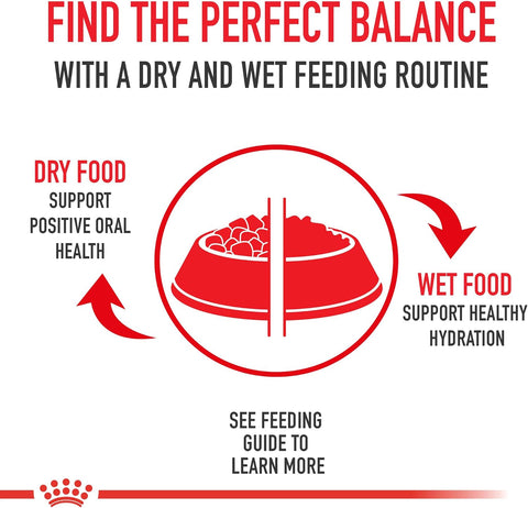 Royal Canin Feline Health Nutrition Indoor Adult Dry Cat Food, 7 lb Bag