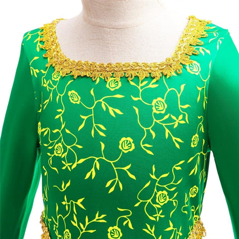 Dressy Daisy Toddler Little Girls Princess Ogre Halloween Costume Birthday Party Dress Up Green Gown