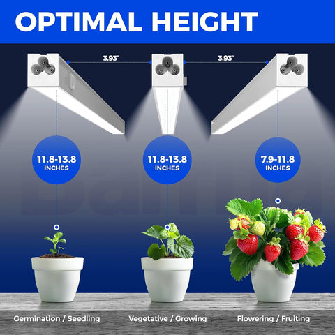 Barrina T5 Grow Lights for Indoor Plants, 1FT Plant Lights, 5000K, 8 Packs