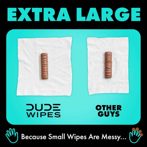DUDE Wipes Mint Chill Adult Flushable Wet Wipes, Refreshing, 48 Count