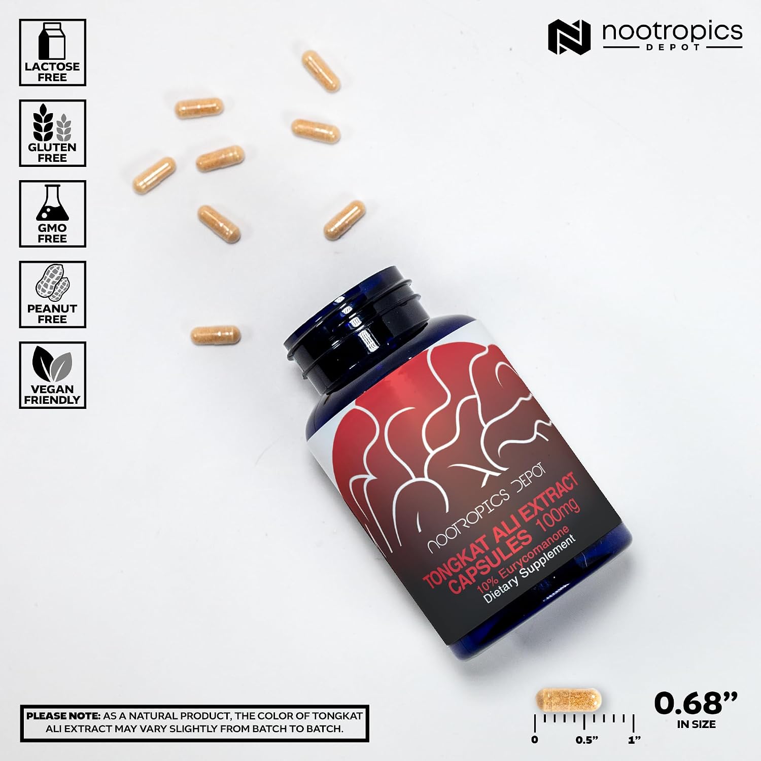 Nootropics Depot Tongkat Ali Extract Capsules | 100mg | 120 Count | 10% Eurycomanone by HPTLC | Eurycoma longifolia Root Extract