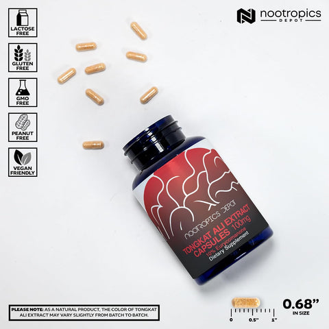 Nootropics Depot Tongkat Ali Extract Capsules | 100mg | 120 Count | 10% Eurycomanone by HPTLC | Eurycoma longifolia Root Extract