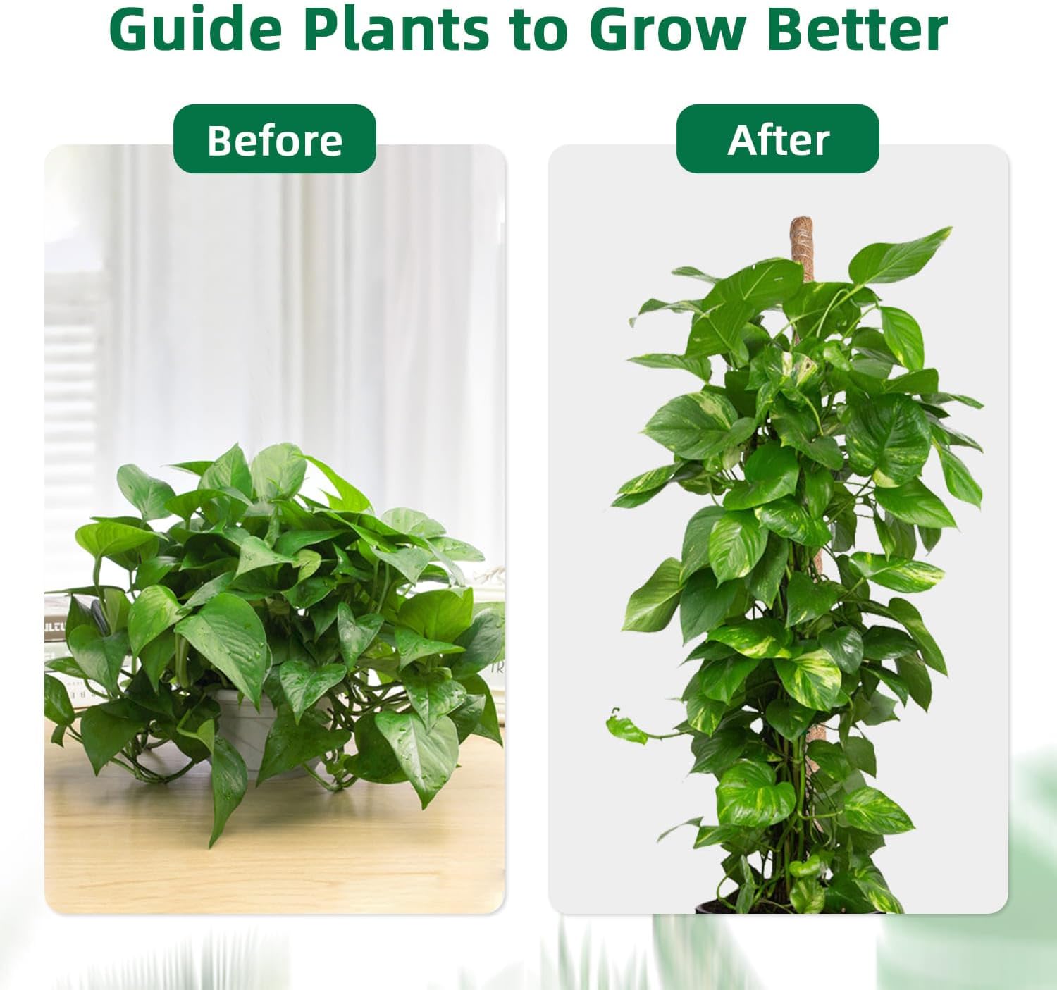 Mcbazel 63 Inch Moss Pole for Plants Monstera, Monstera Plant Support Stick, Bendable Moss Poles Plant Support Stick for Climbing Plants, Stick Support Stake Kit for Potted Plants, Pothos,Philodendron