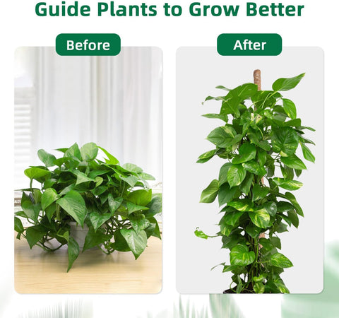 Mcbazel 63 Inch Moss Pole for Plants Monstera, Monstera Plant Support Stick, Bendable Moss Poles Plant Support Stick for Climbing Plants, Stick Support Stake Kit for Potted Plants, Pothos,Philodendron